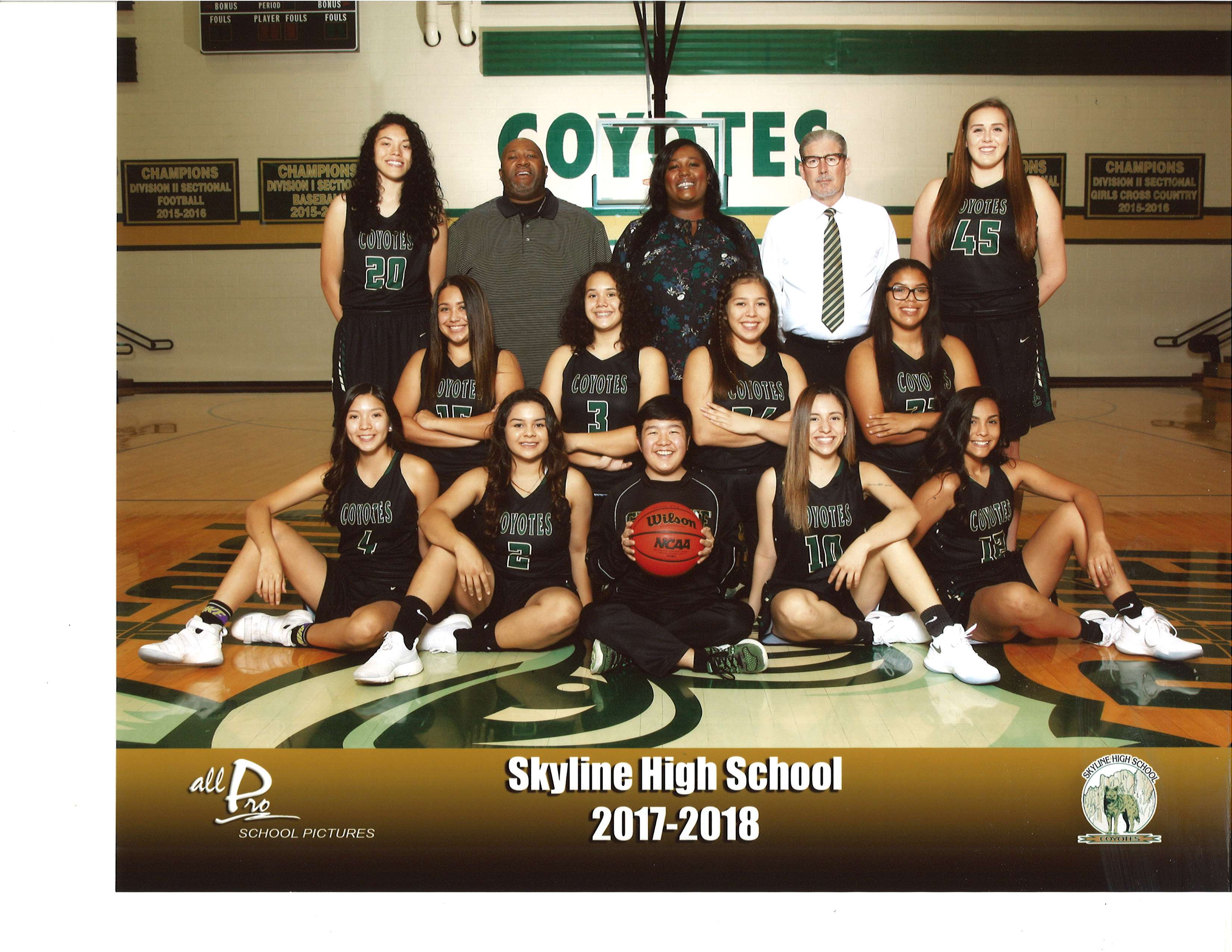 Image result for Arizona high school sports activities