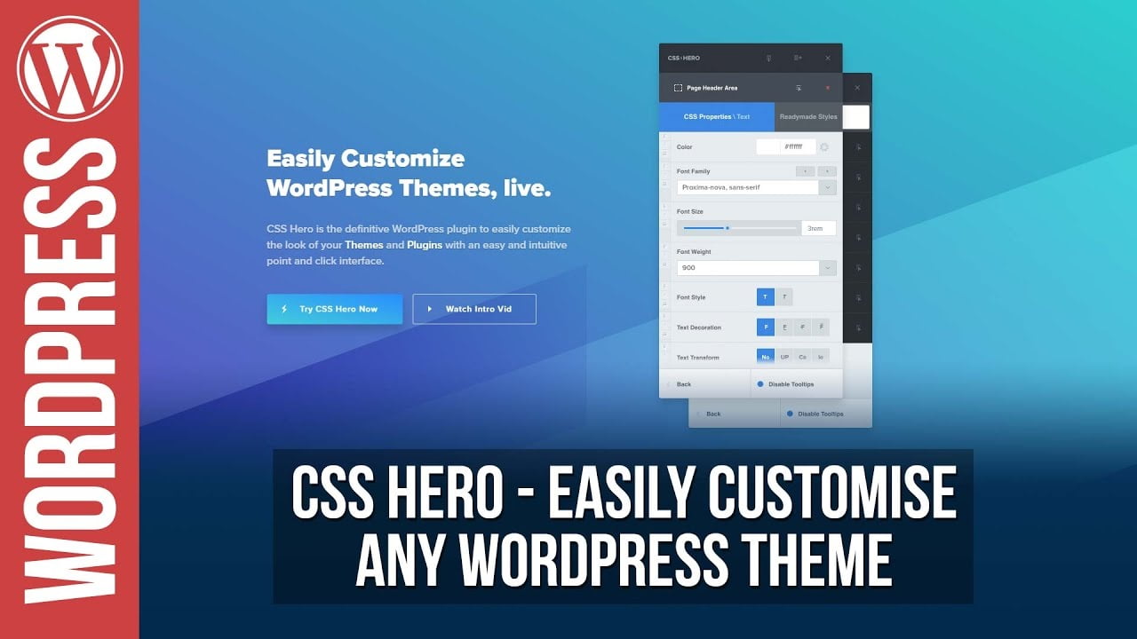 Image result for Beginner's Guide to Customizing WordPress Themes