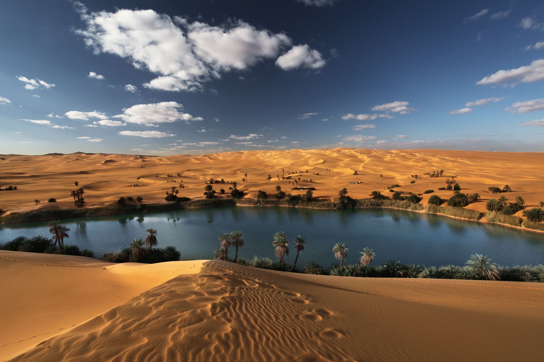 Image result for Amid life at the oasis: exploring undiscovered Morocco